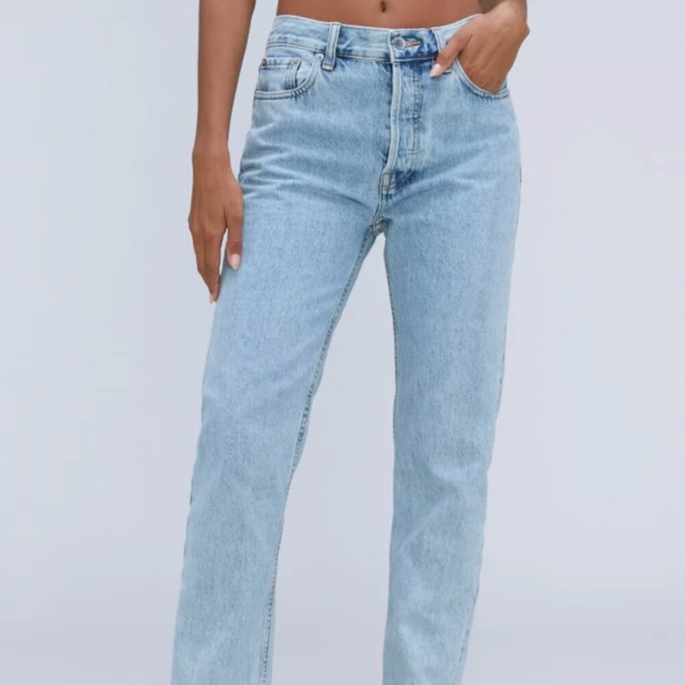 Everlane Rigid Slouch Jean Vintage Sky 26R